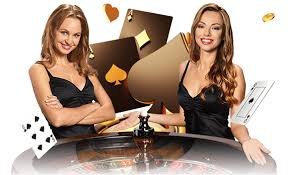Tampilan mobile pintutogel yang ringkas